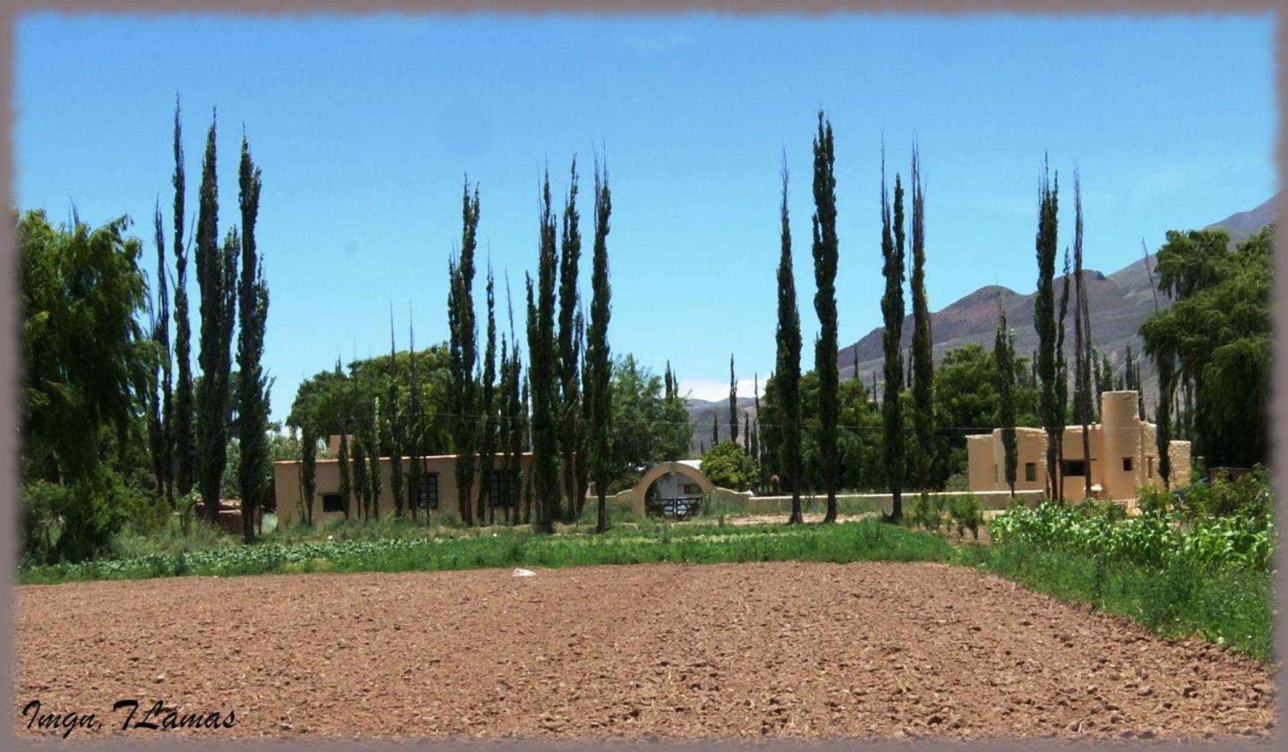 Holiday home Cabanaperchel Tilcara Quebrada De Humahuaca